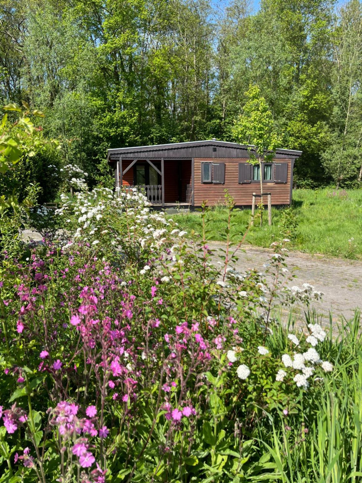 Hoeve Veganza B&B Vlagtwedde Exterior photo