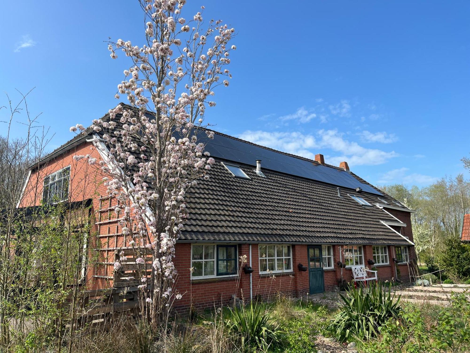 Hoeve Veganza B&B Vlagtwedde Exterior photo